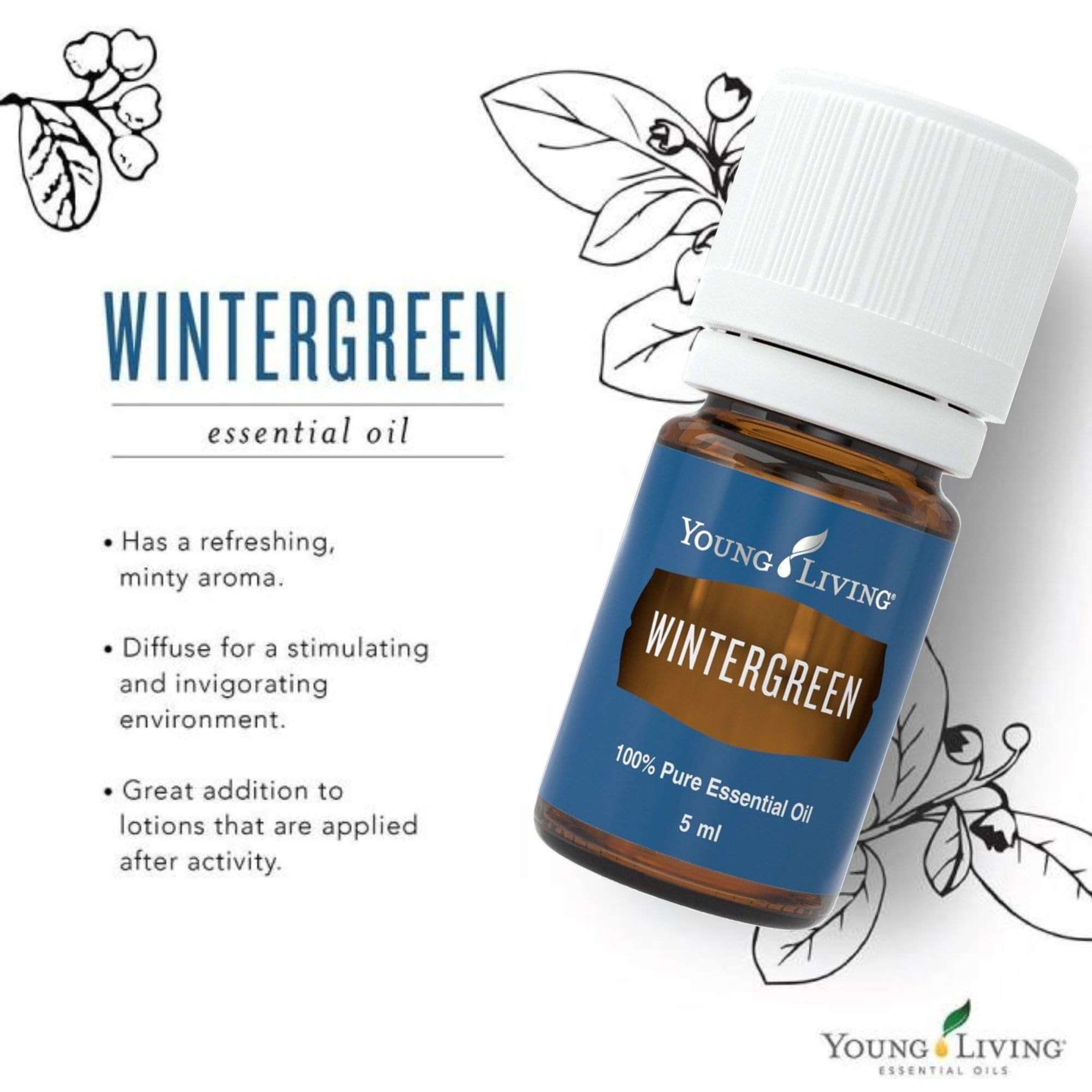 Arôme frais de Wintergreen Perfect pour aromathérapie par Young Living