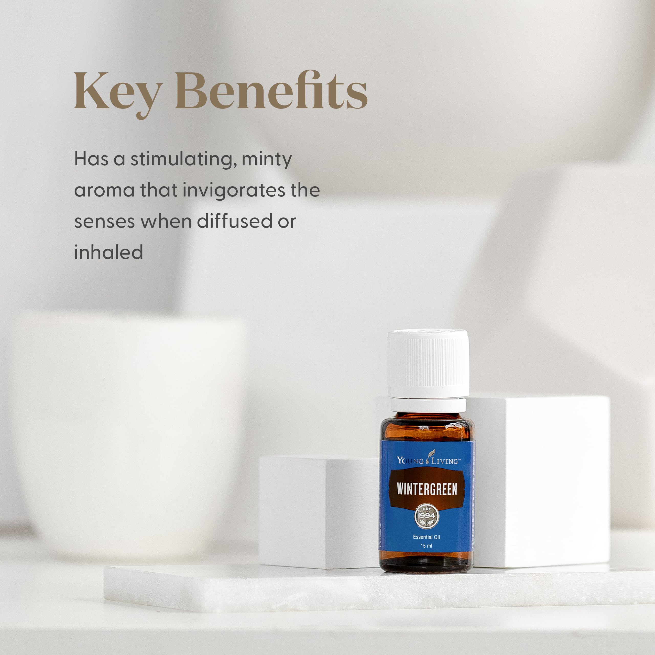 Diffusion Wintergreen: arôme frais pour une ambiance vivifiante