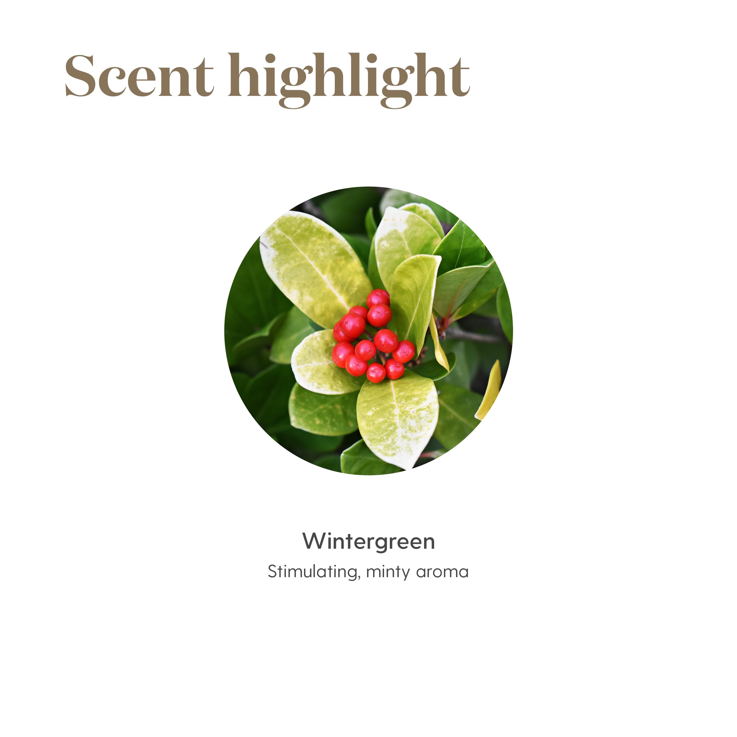 Rituel bien-être avec Wintergreen Young Living à domicile