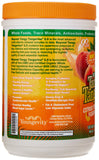 Youngevity Beyond Tangy Tangerine 2.0, prébiotiques et probiotiques, soutien digestif.