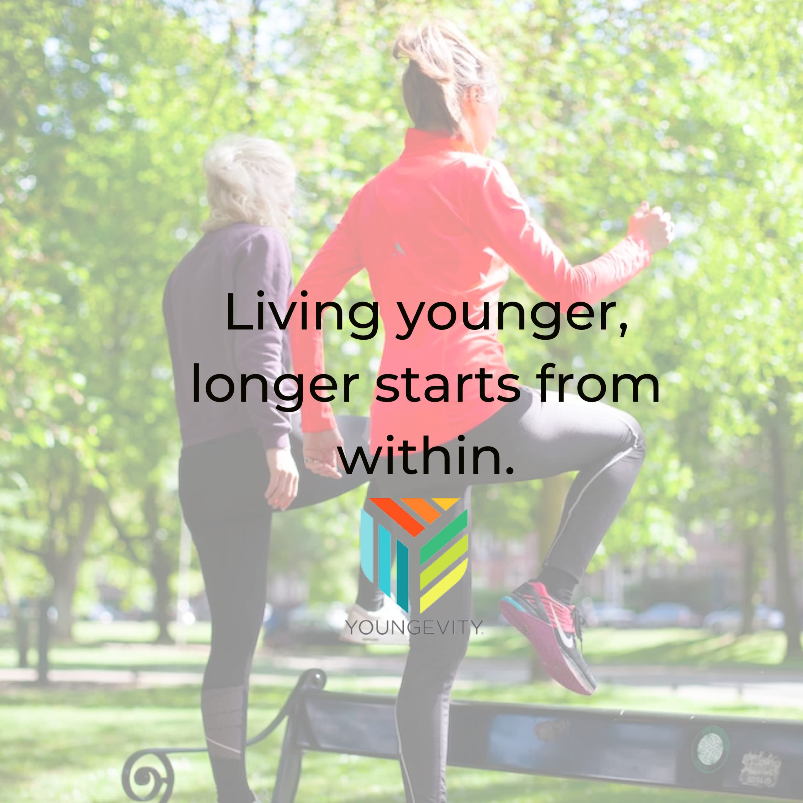 Youngevity Beyond Tangy Tangerine 2.0 Sceau 8000 ORAC souligne l’activité antioxydante.