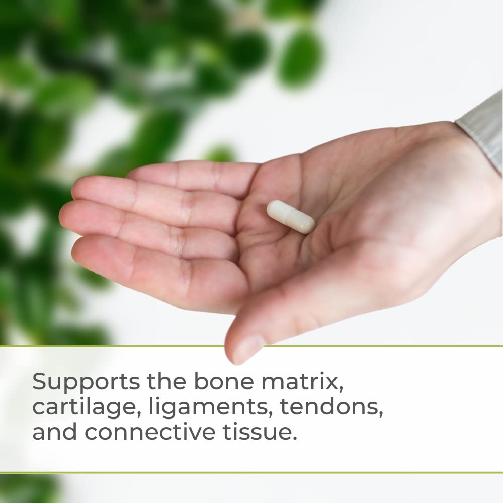 Texture gélatineuse du Gluco-Gel, richesse en collagène potentielle.