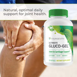 Ingrédients Glucosamine de Youngevity Gluco-Gel, soutien potentiel du cartilage.