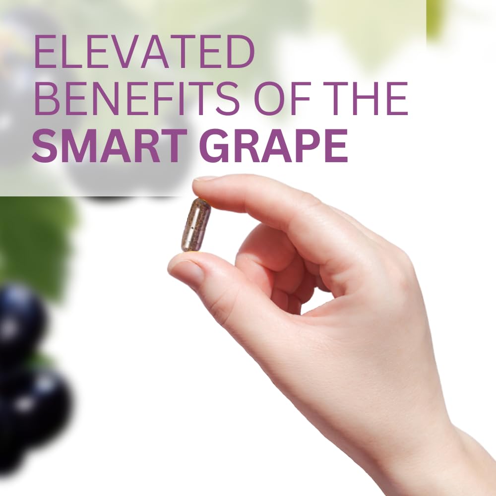 Tableau-bienfaits Youngevity Muscadine Graine montrant les antioxydants et les usages cosmétiques possibles.