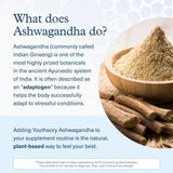 Youtheory Ashwagandha Liquide - Dose unique, facile à prendre au travail.
