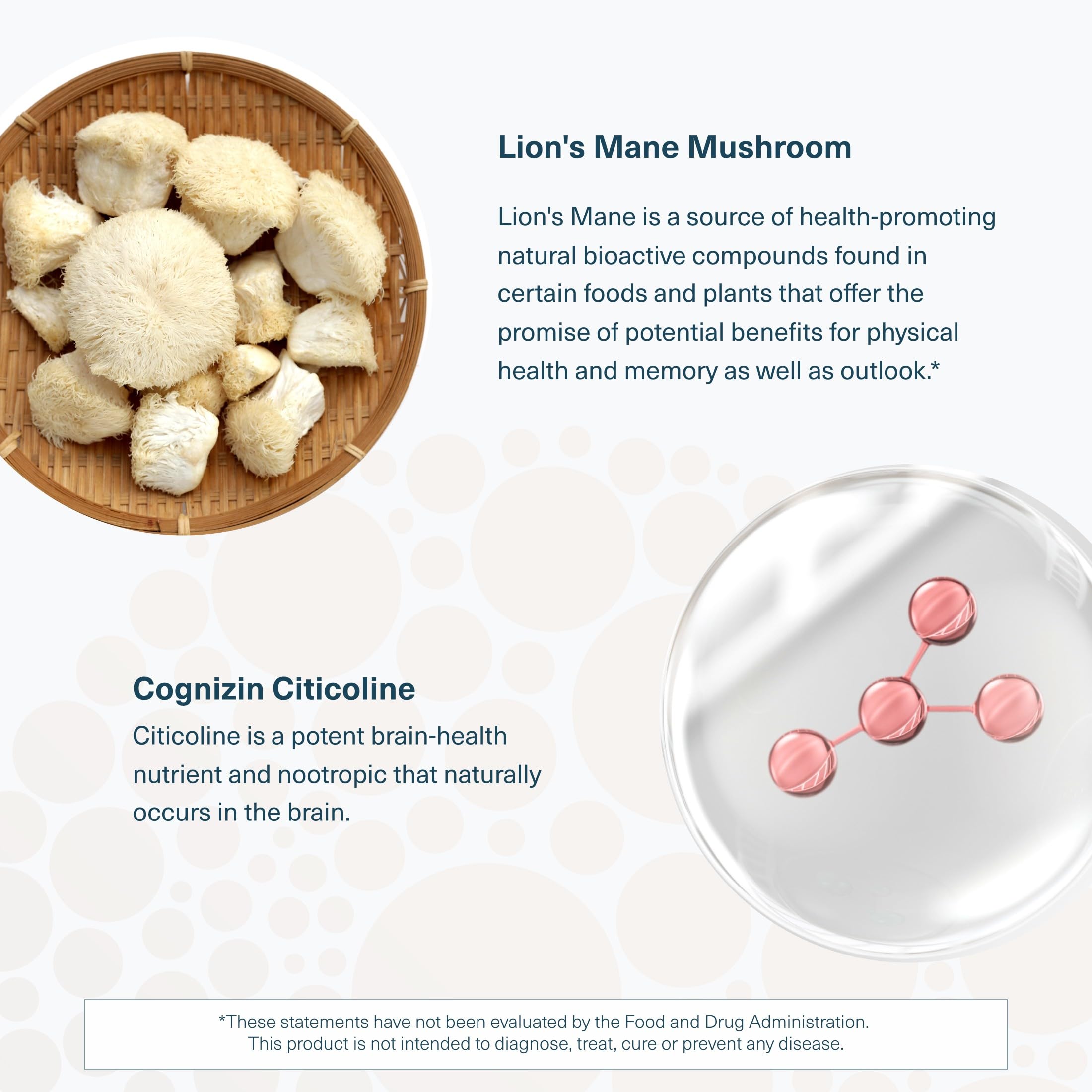 Ingrédients-proches Youtheory Lion's Mane Plus montrant Cognizin et sources végétales.