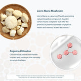 Ingrédients-proches Youtheory Lion's Mane Plus montrant Cognizin et sources végétales.