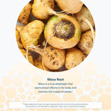 Youtheory Maca qualité premium, sans lactose ni gluten.