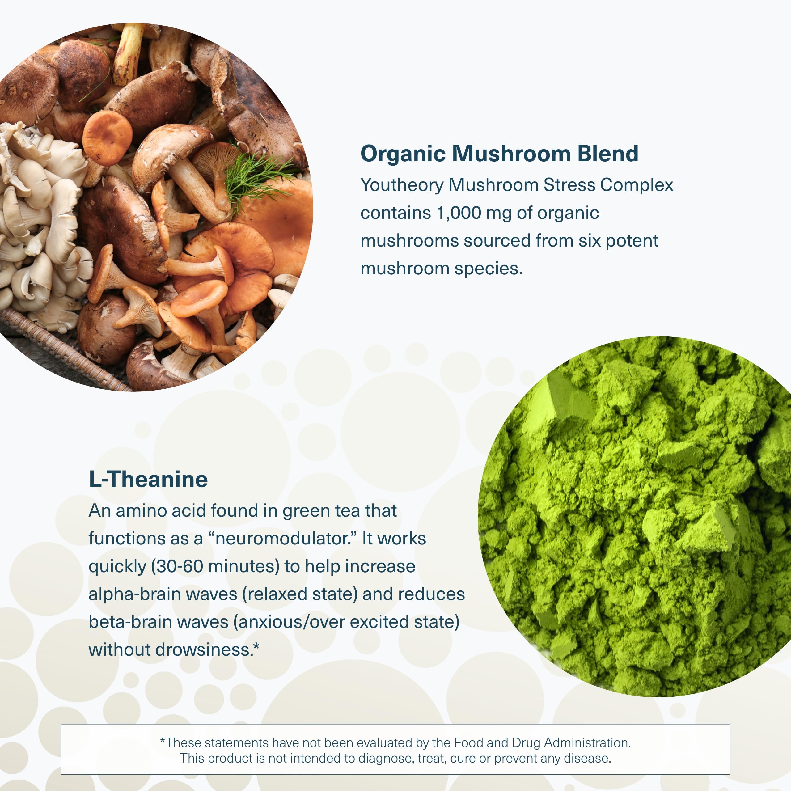Youtheory Mushroom Stress Complex — l-theanine: soutien potentiel à la concentration.