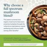 Youtheory Mushroom Stress Complex — tableau-ingrédients: mélange de six champignons pour la clarté.