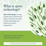 Gomme Youtheory avec prébiotiques, soutien digestif potentiel.