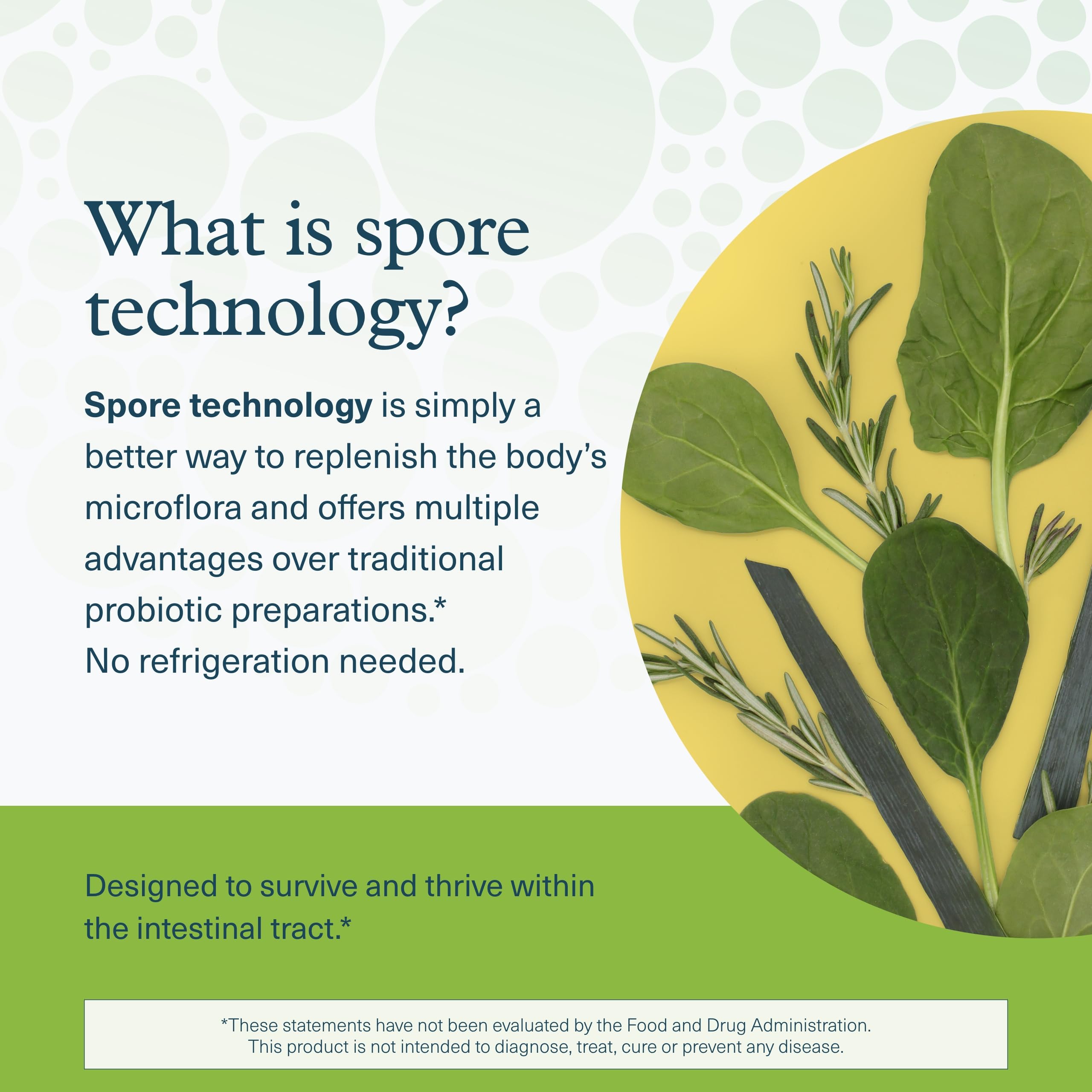 Youtheory Spore Probiotic — étiquette montrant FOS et XOS, prébiotiques utiles.