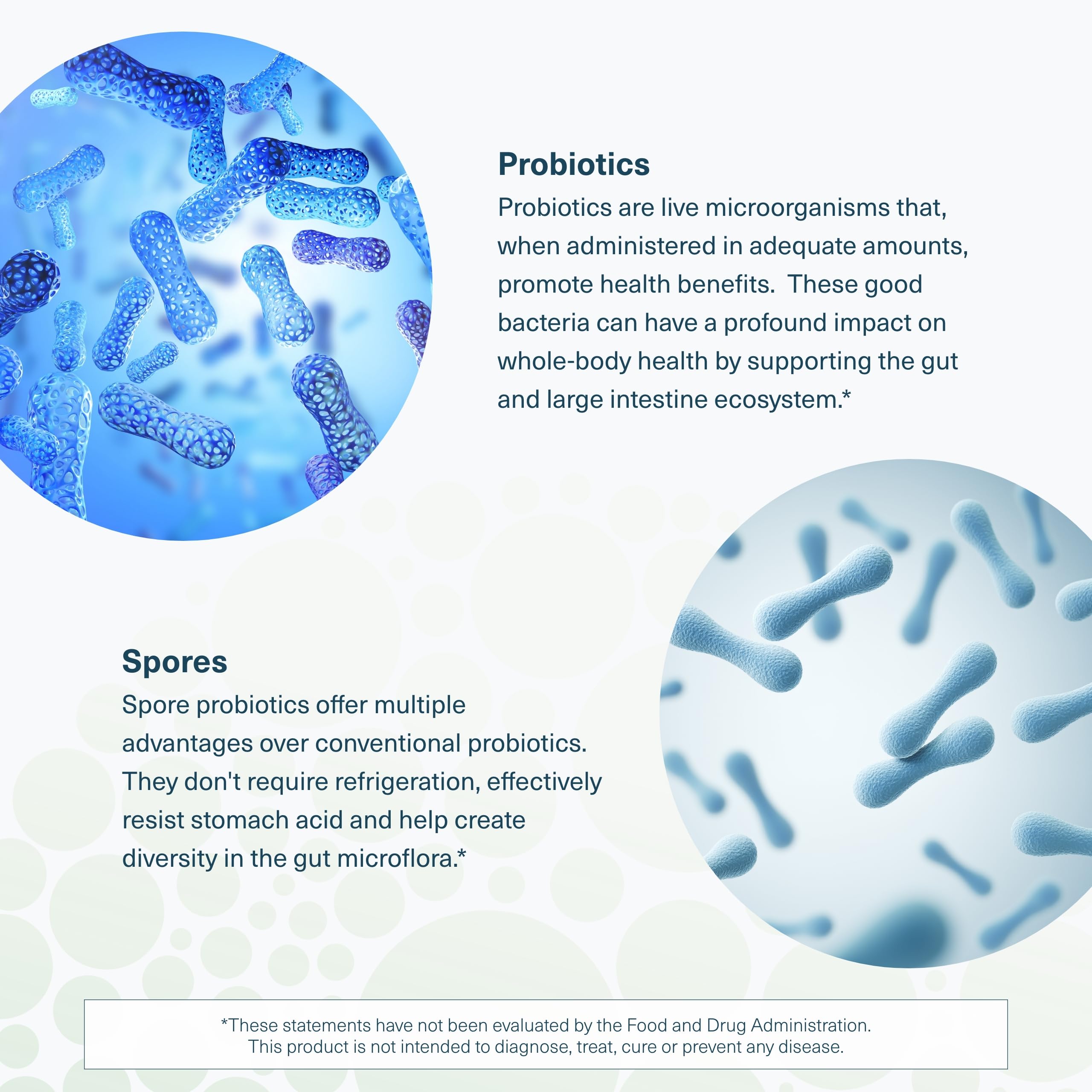 Youtheory Spore Probiotic — poudre sans lait, sans soja et sans gluten.