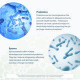 Youtheory Spore Probiotic — poudre sans lait, sans soja et sans gluten.