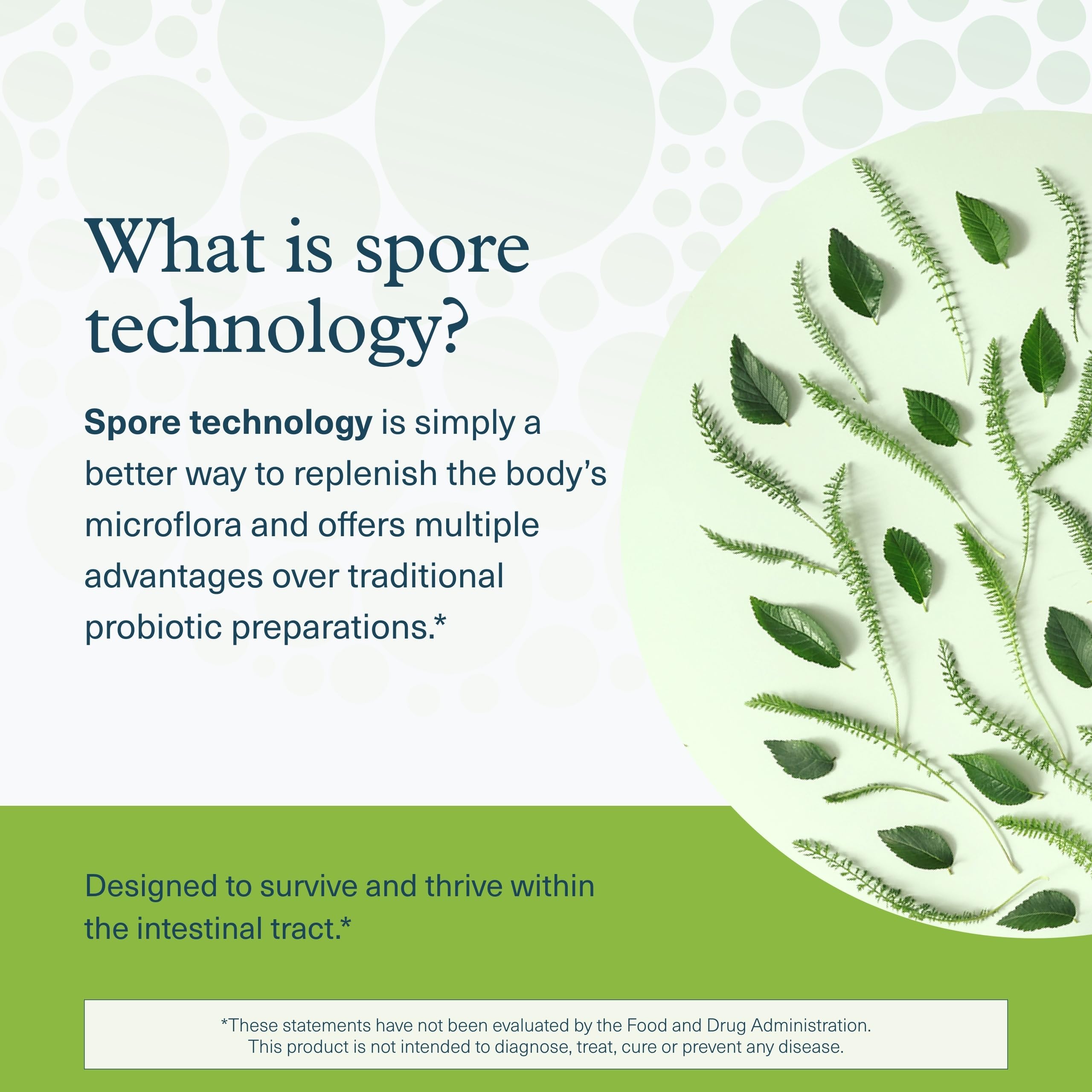 Prébiotiques inclus dans la formule de Youtheory Spore Probiotic