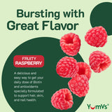 Étiquette YumVs indiquant sans OGM et sans allergènes.