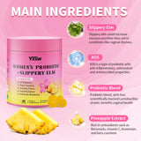 YXSW Gommes Probiotiques – Illustration santé intestinale, mise en avant du microbiome potentiel.