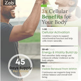 ZAB Urolithin A : usage quotidien flexible, intégré à la routine