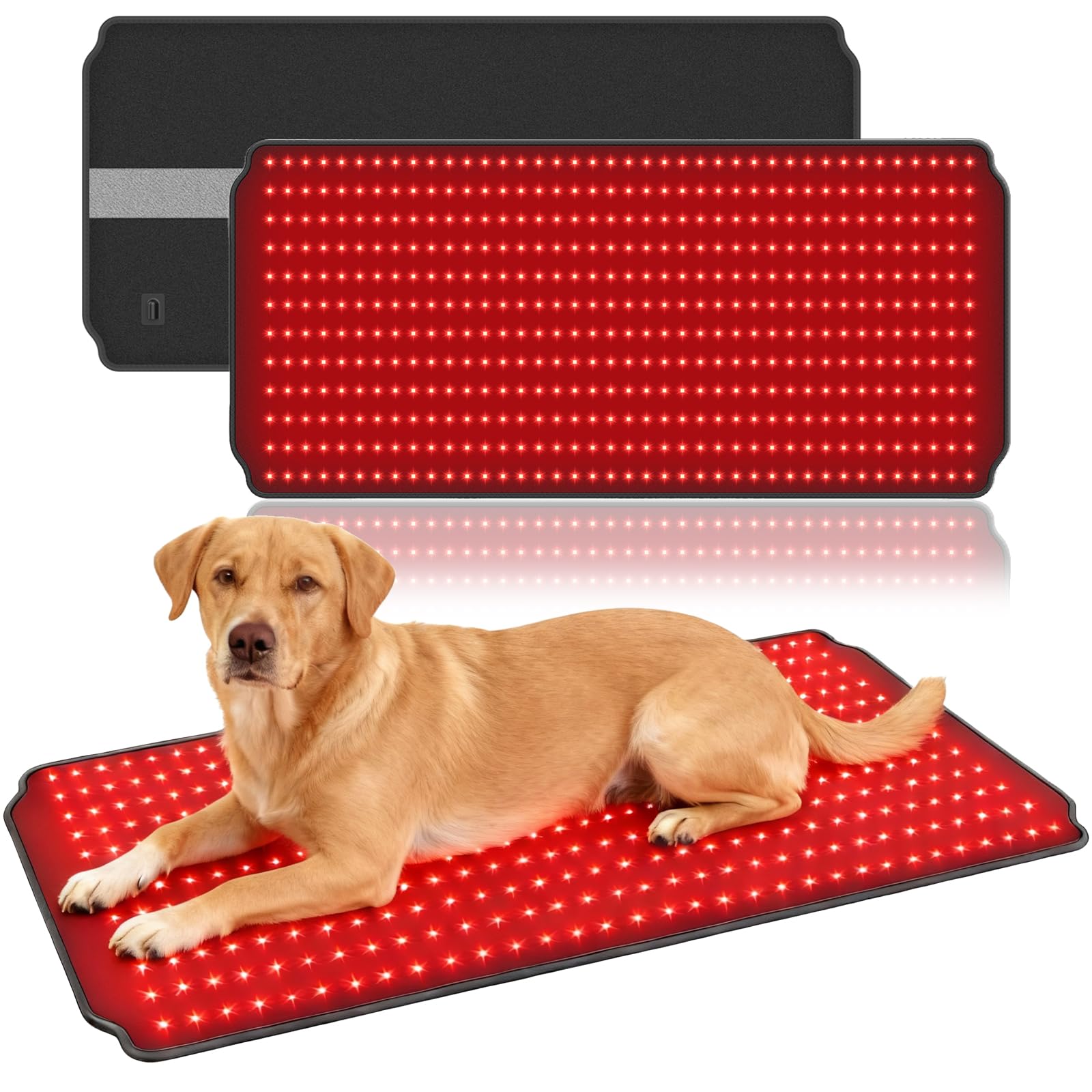ZAEXAE ceinture thérapie lumière rouge pour chien, favorise la détente après l’effort.