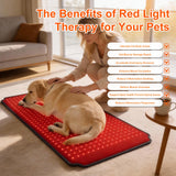 ZAEXAE matelas thérapie lumière rouge dos chien, enveloppant et réconfortant.