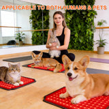 ZAEXAE packaging-cadeau: idee cadeau polyvalente pour animaux et personnes