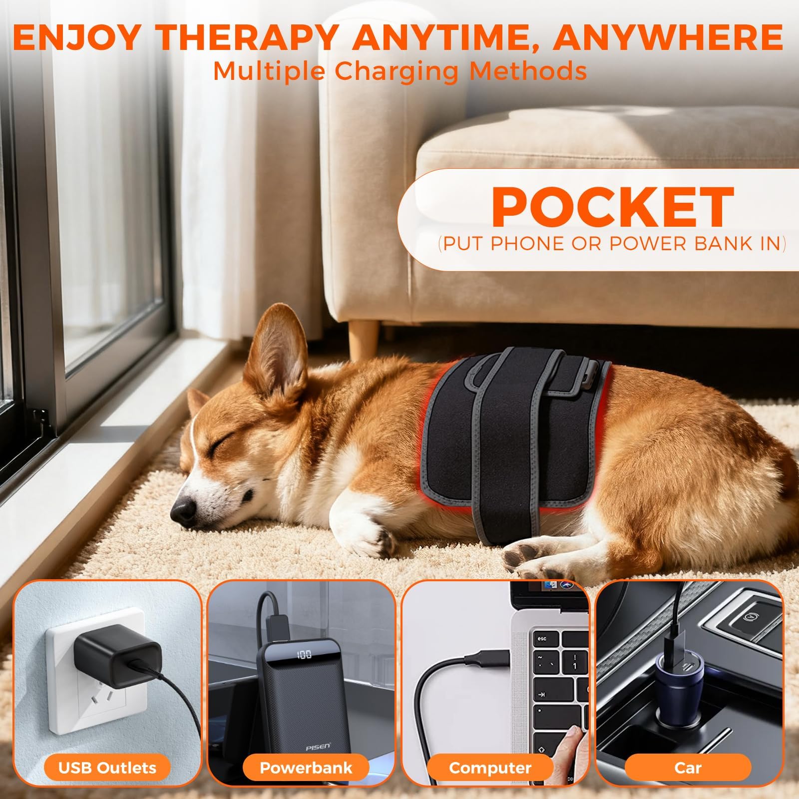 ZAEXAE Adapté pour chiens, chats et autres animaux