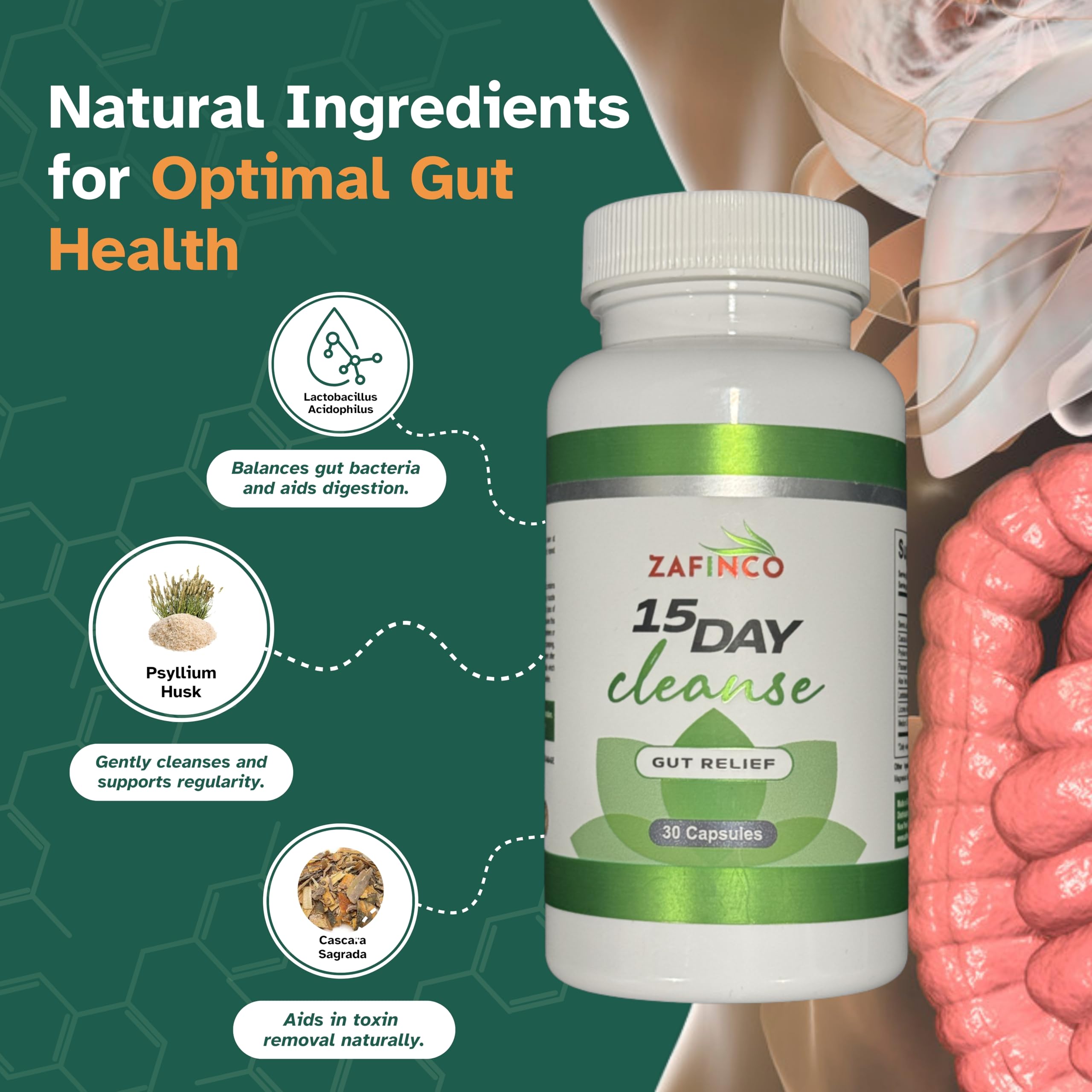 ZAFiNCO psyllium-aloe-gingembre — Ingrédients clés pour routine digestive.
