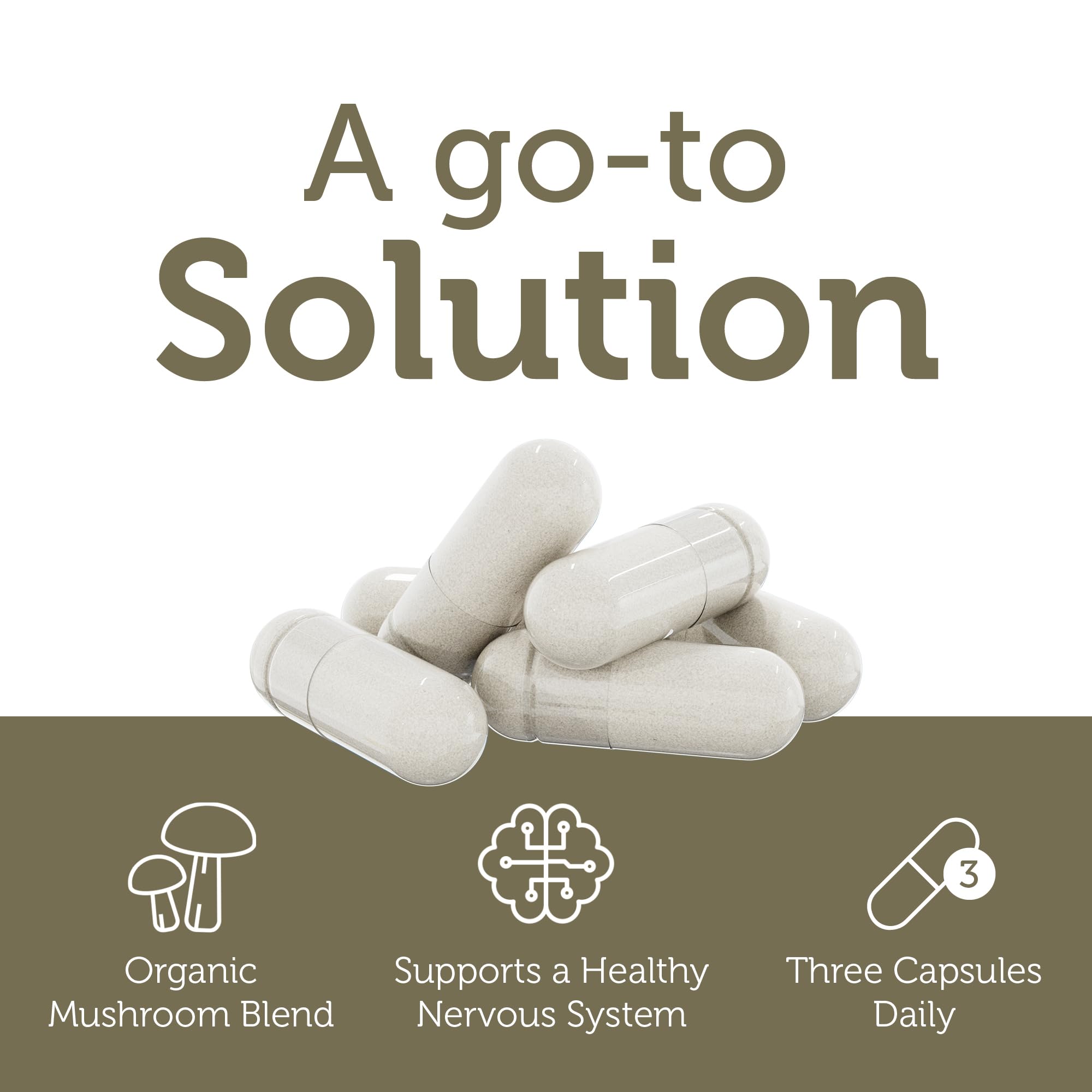 Zahler AdultFocus: tableau d'ingrédients, Suntheanine et Cognizin pour le support cognitif.