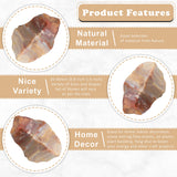ZAICUS Couleurs naturelles Polychrome Jasper pour décoration et énergie visuelle