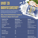 Gélules végétales Zaigon Benfotiamine, absorption améliorée.