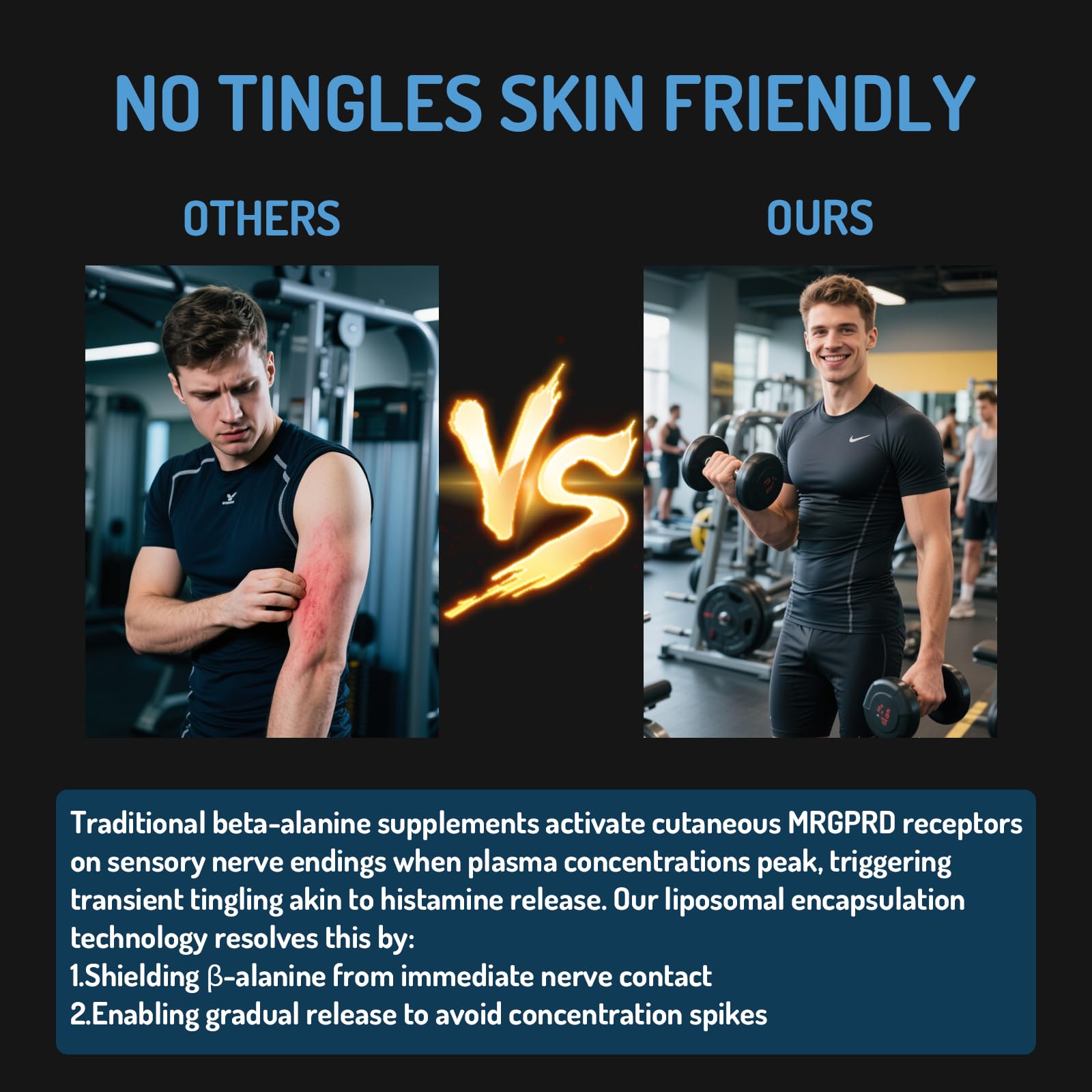 Zaigon liposomale bêta-alanine - usage sportif pour l'endurance.