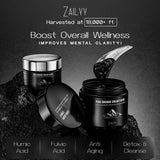 Rapport de laboratoire ZAILYY Shilajit résine, transparence et qualité.