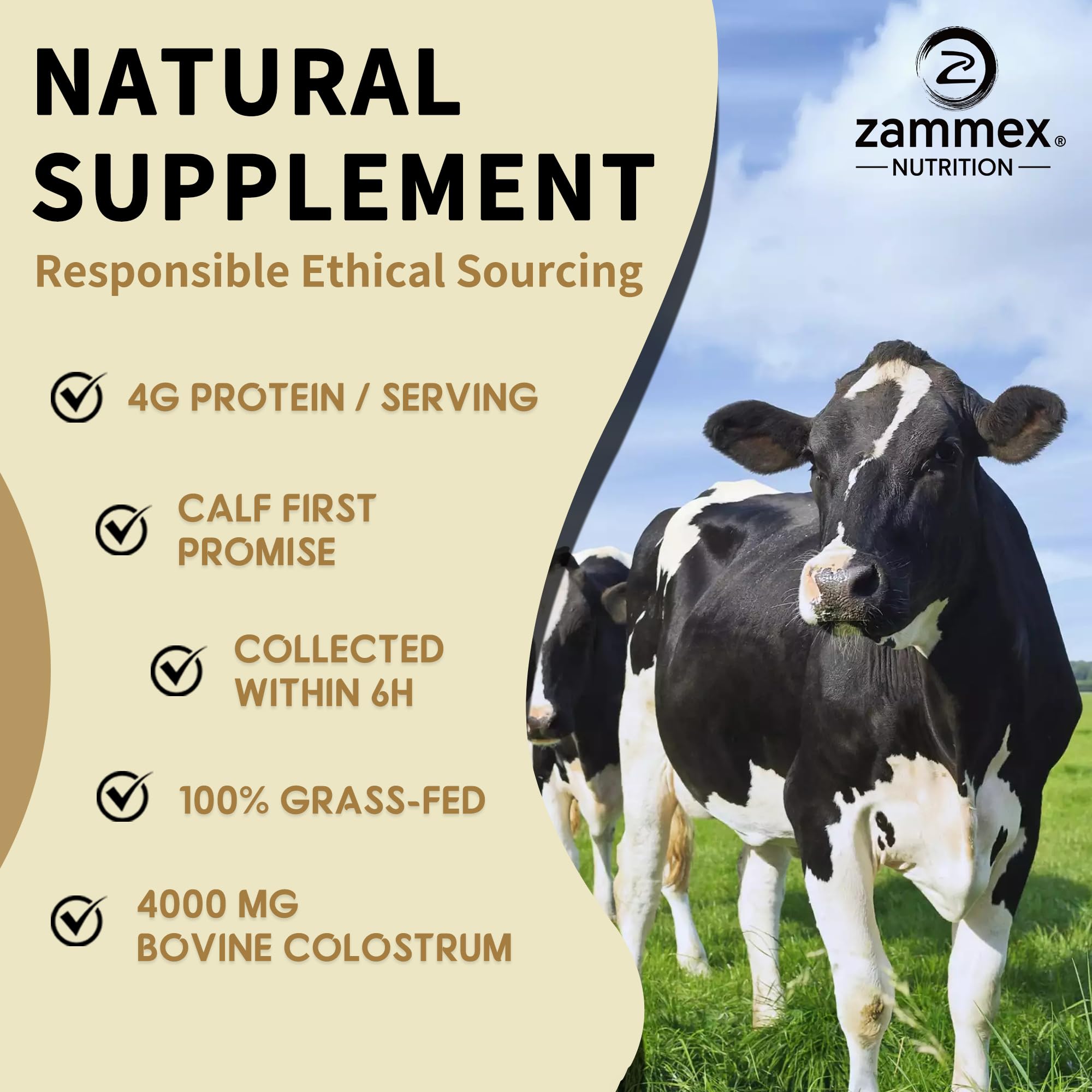 Texture fine et légère de la poudre Colostrum Zammex.