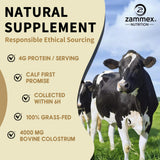 Texture fine et légère de la poudre Colostrum Zammex.