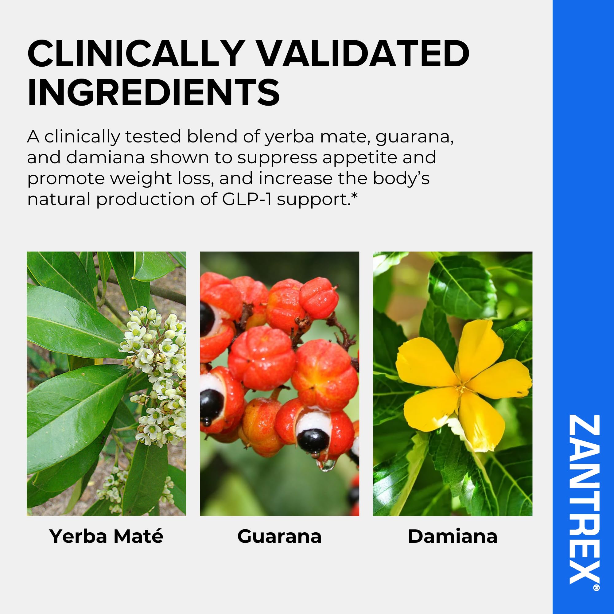 Tableau nutritionnel Zantrex Blue pour comparer les options