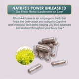 ZAXINERY Rhodiola Rosea – formule sans gluten et sans OGM.