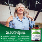 Capsules Zazzee Artémisinine, 100 mg, prise quotidienne facile.