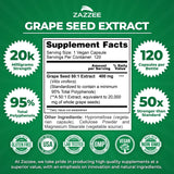 Zazzee Capsules véganes — flacon de 120 pour une utilisation durable.