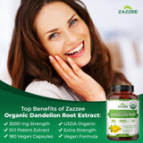 Zazzee racine de pissenlit extract etiquette biologique sur l emballage