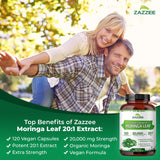 Zazzee feuilles Moringa organique, qualité pure et naturelle.