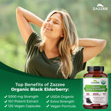 Capsule Zazzee, extrait 10:1 5000 mg, concentration élevée.