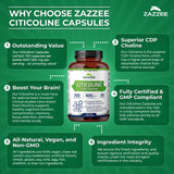 Notice d'utilisation Zazzee pour démarrer facilement