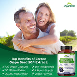 Zazzee Polyphénols 95% — extrait standardisé de haute qualité.