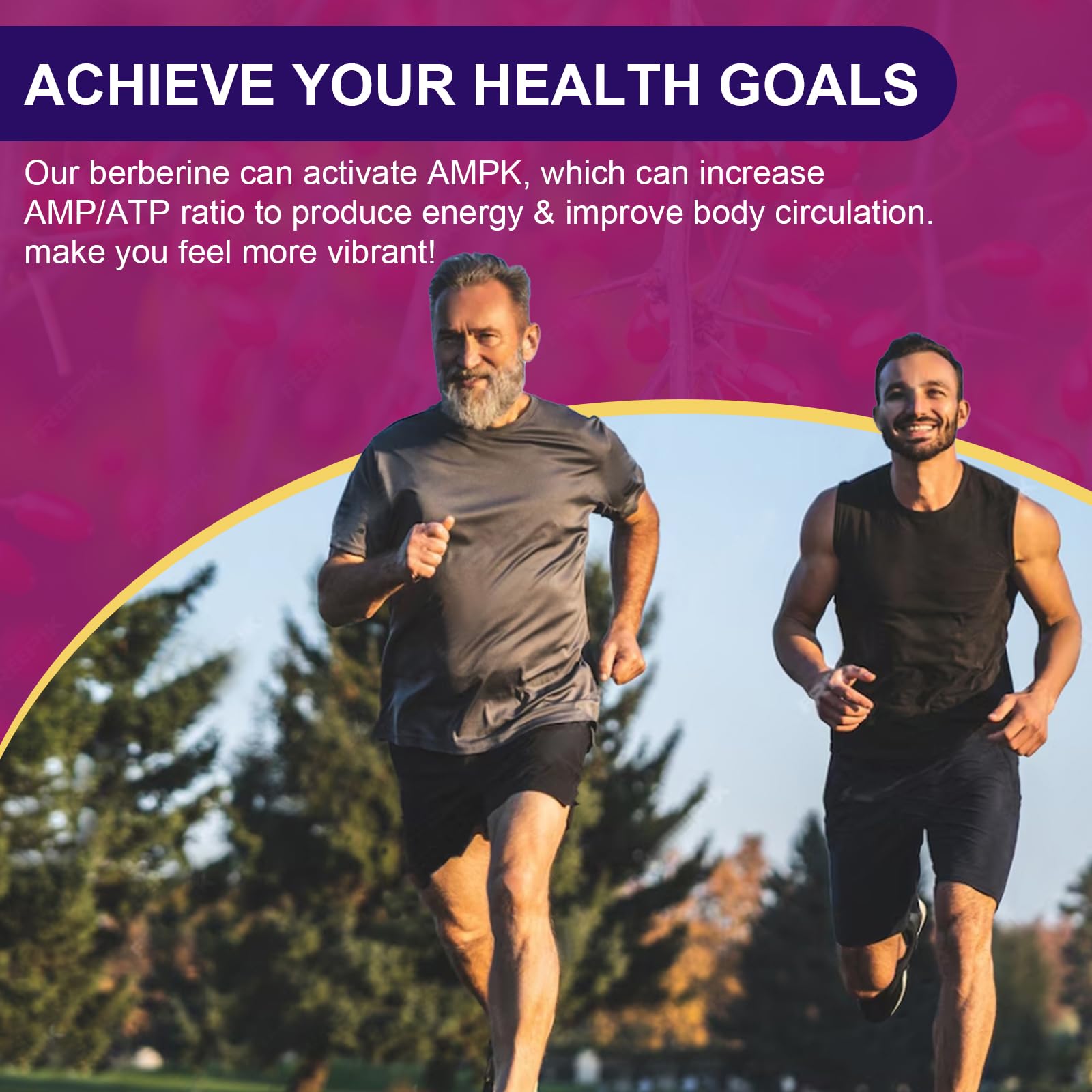 Caprique et pipérine améliorant potentiellement l’absorption de ZEBORA Berberine HCL.