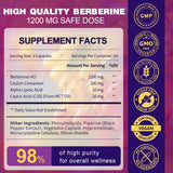 Flacon ZEBORA Berberine HCL prêt à être intégré à votre routine bien-être.
