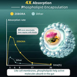 ZEBORA chardon-marie - extrait 450 mg dans une présentation facile à avaler.