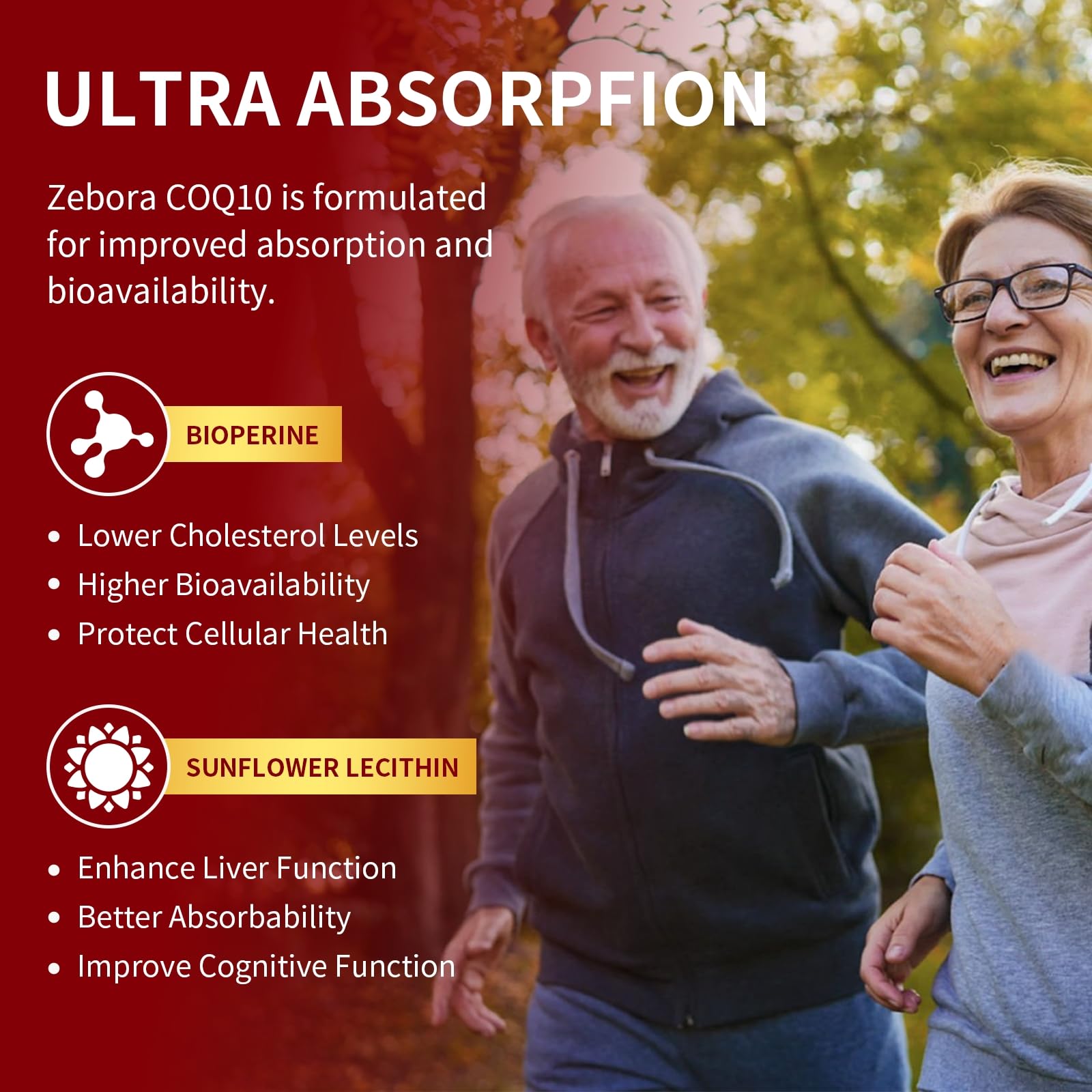 Absorption accrue grâce à BioPerine et Lecithine de Tournesol dans Zebora CoQ10.