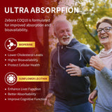 Absorption accrue grâce à BioPerine et Lecithine de Tournesol dans Zebora CoQ10.