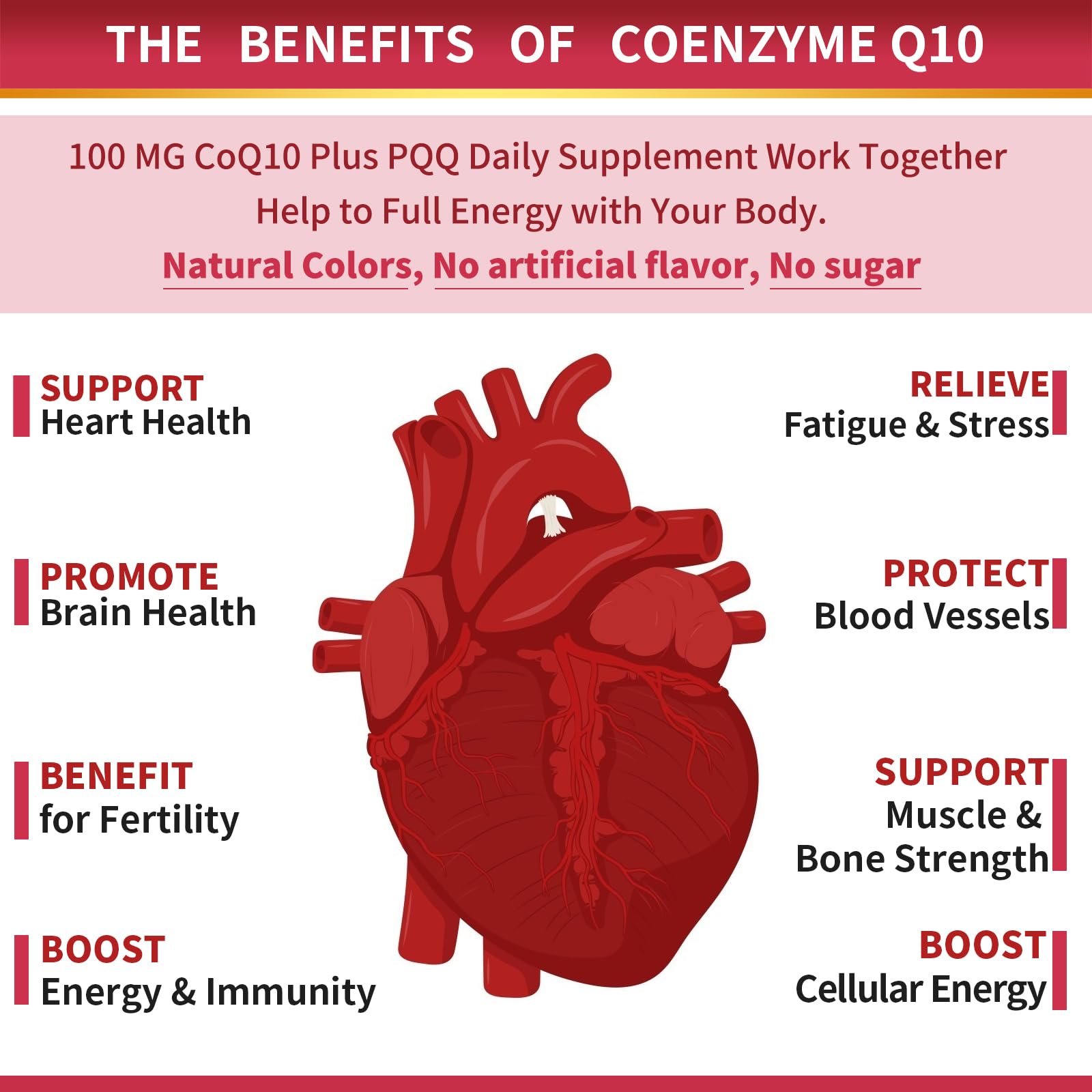 ZEBORA CoQ10, lécithine de tournesol, meilleure absorption et santé de la peau et du foie