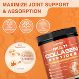 ZEBORA Poudre Collagène Multi avec ingrédients sans OGM et sans gluten.